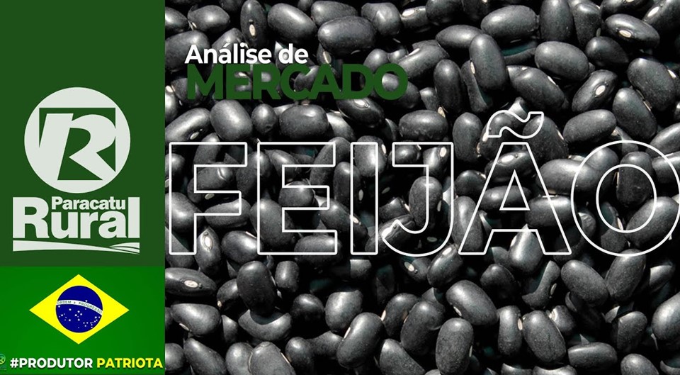 Análise de Mercado – FEIJÃO – 26-09-2020