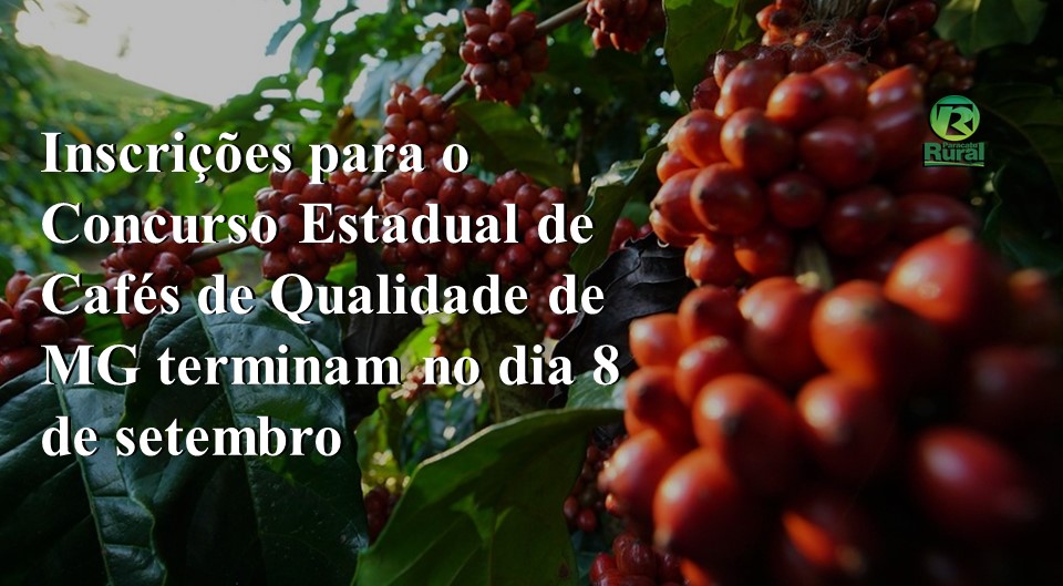 Inscrições para o Concurso Estadual de Cafés de Qualidade de MG terminam no dia 8 de setembro