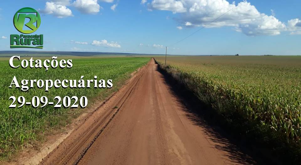 Cotações Agropecuárias - 29-09-2020