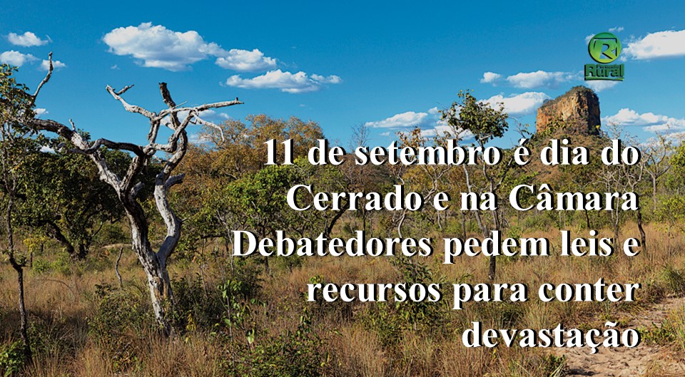 11 de setembro é dia do Cerrado e na Câmara Debatedores pedem leis e recursos para conter devastação