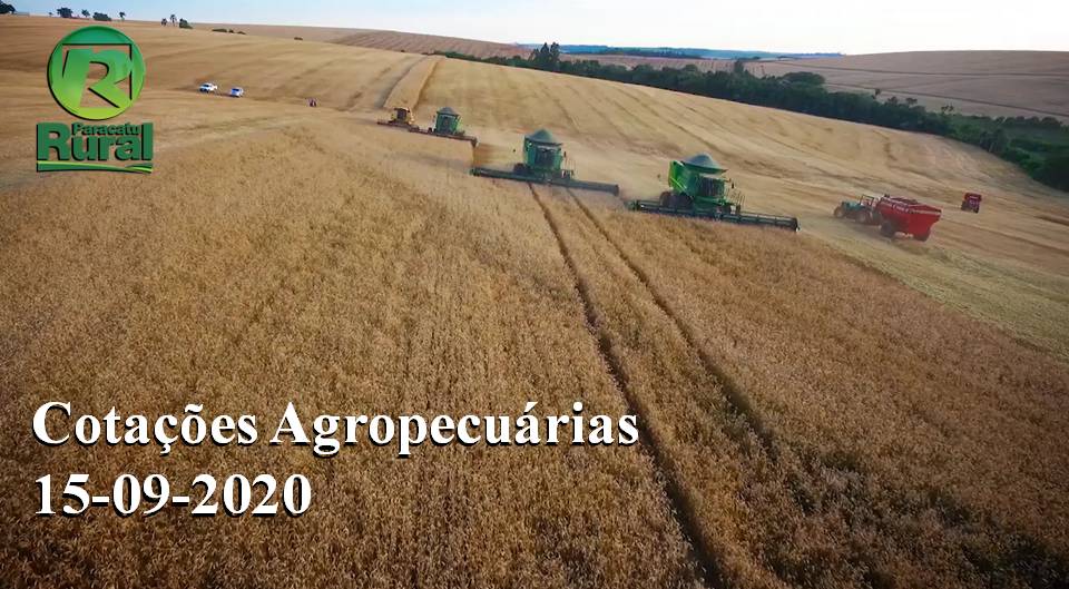 Cotações Agropecuárias - 15-09-2020