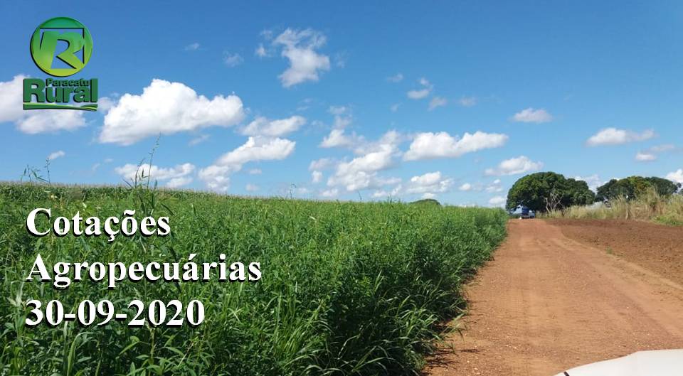 Cotações Agropecuárias - 30-09-2020