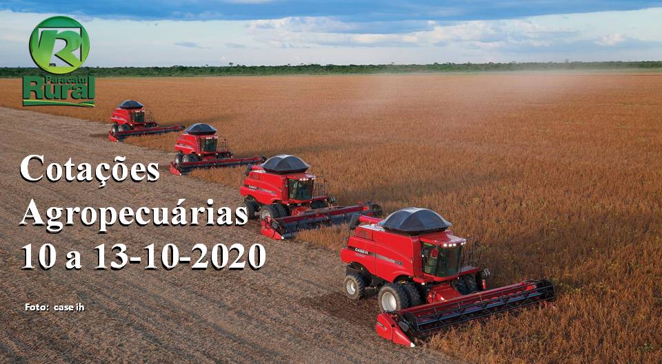 Cotações Agropecuárias - 10 a 13-10-2020