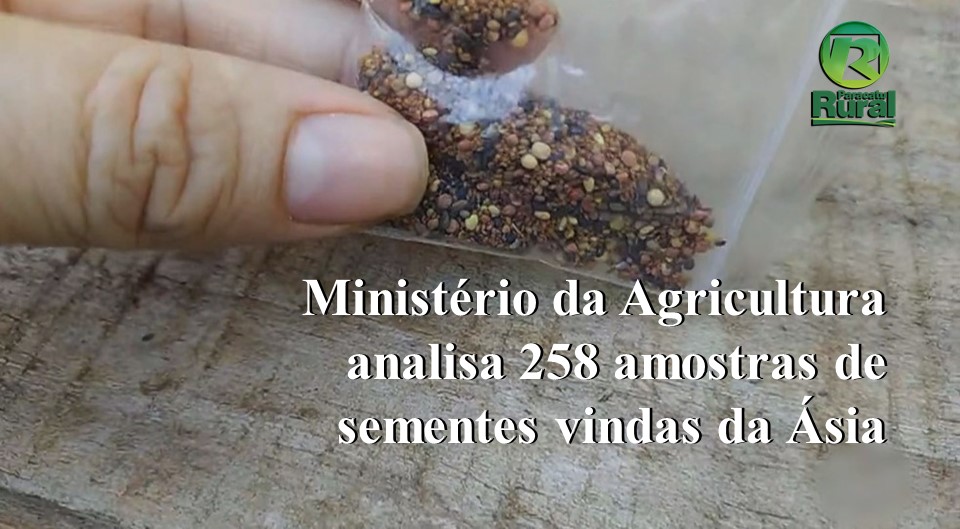 Ministério da Agricultura analisa 258 amostras de sementes vindas da Ásia