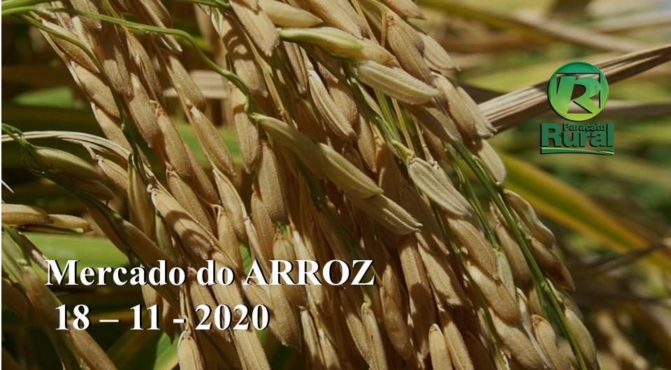 Mercado do ARROZ - 18 - 11 - 2020