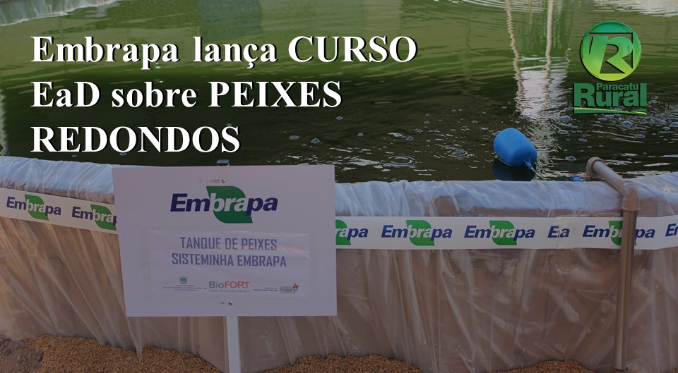 Embrapa lança CURSO EaD sobre PEIXES REDONDOS