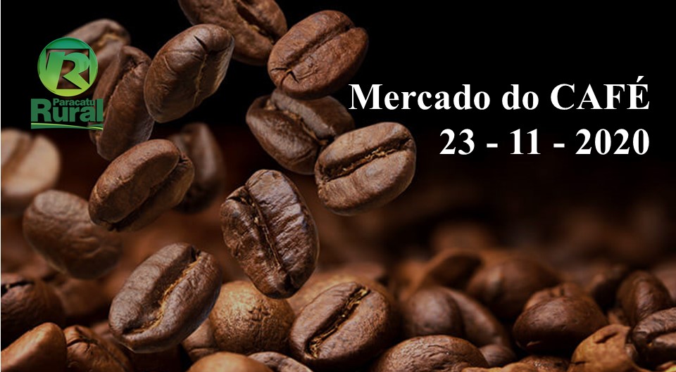23-11 MERCADO CAFE