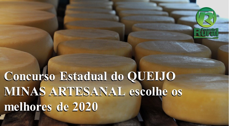 Concurso Estadual Do Queijo Minas Artesanal Escolhe Os Melhores De 2020 Paracatu Rural 5267