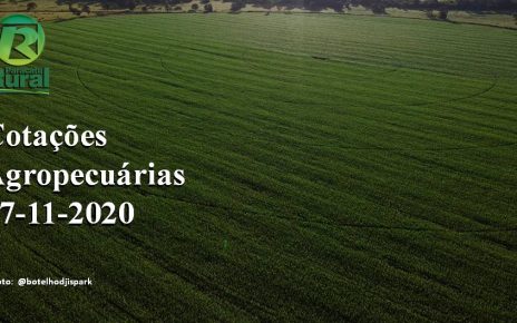Cotações Agropecuárias_17-11-2020
