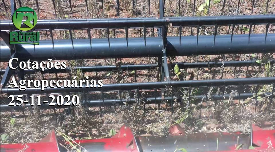 Cotações Agropecuárias - 25-11-2020