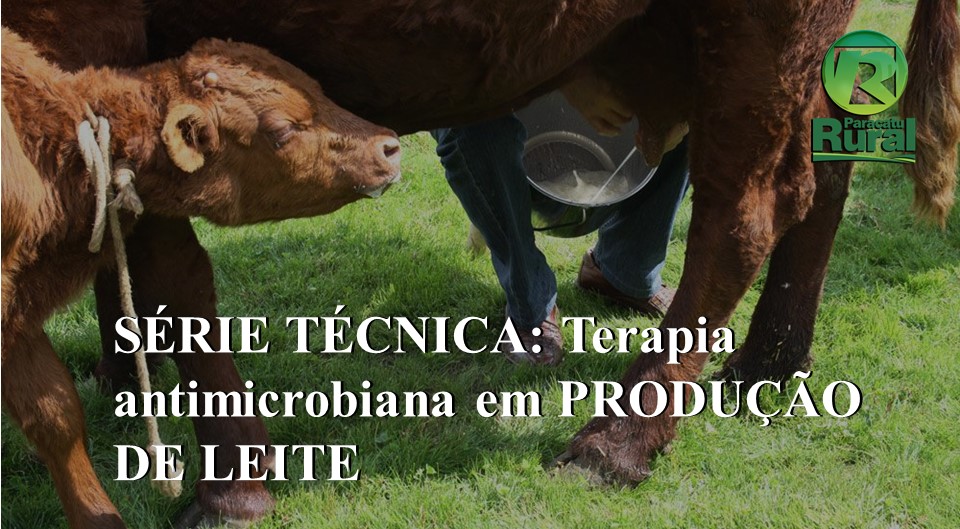 SÉRIE TÉCNICA: Terapia antimicrobiana em PRODUÇÃO DE LEITE – 5º episódio