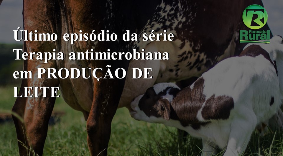 Último episódio da série Terapia antimicrobiana em PRODUÇÃO DE LEITE