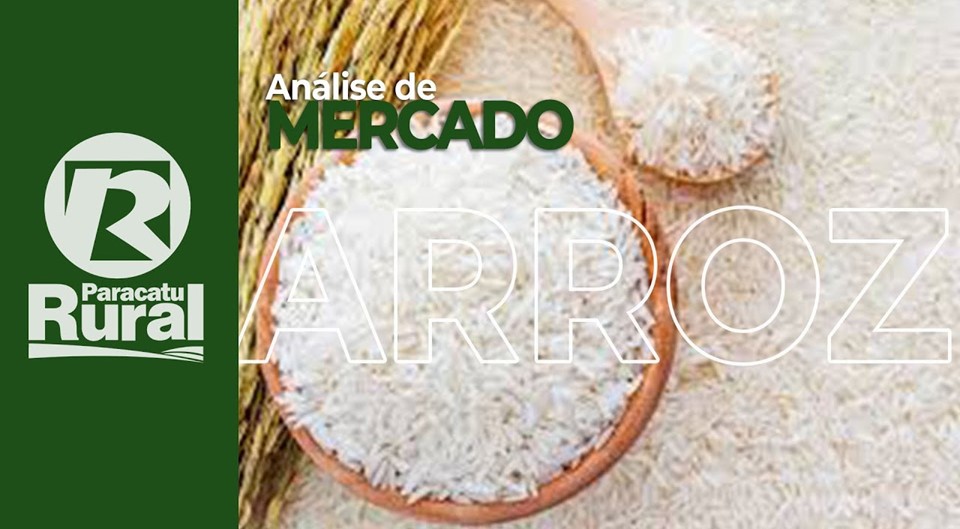 Mercado do ARROZ- 20 - 12 - 2020