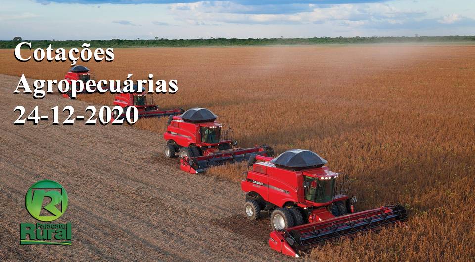 Cotações Agropecuárias - 24-12-2020