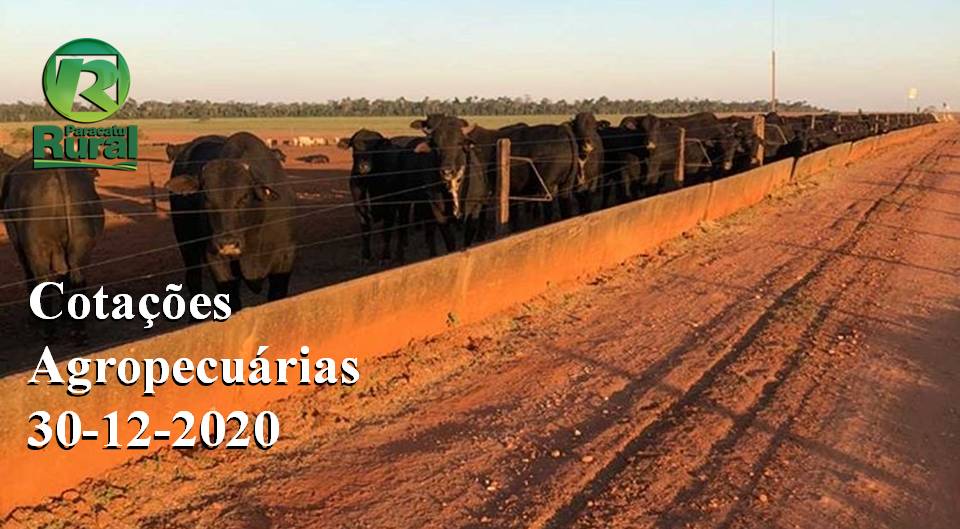 Cotações Agropecuárias - 30-12-2020