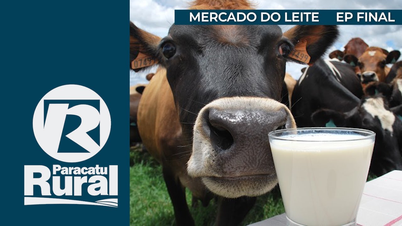 Mercado do LEITE em 2021 dependerá de vários fatores, afirma presidente de cooperativa de produtores