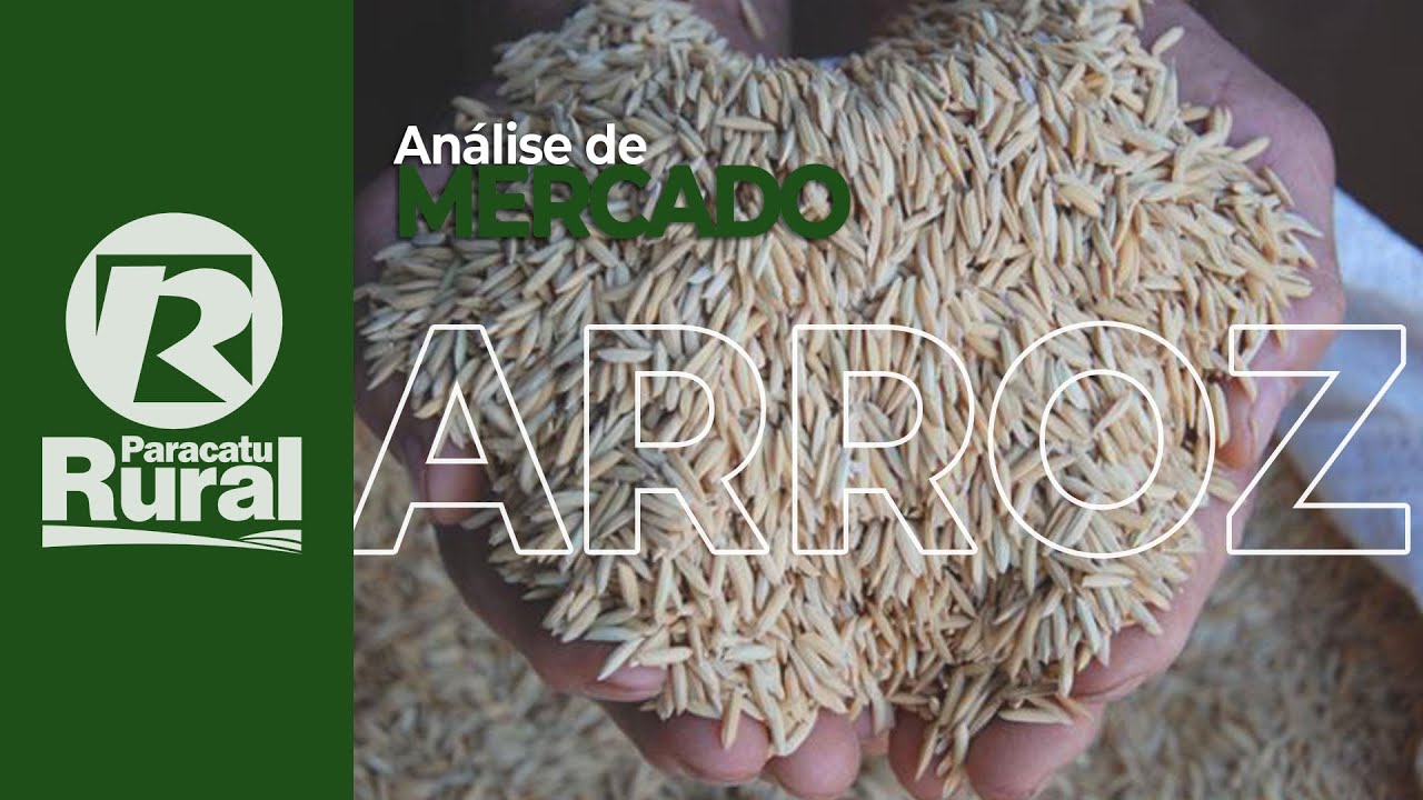 MERCADO DO ARROZ - 30-01-2021