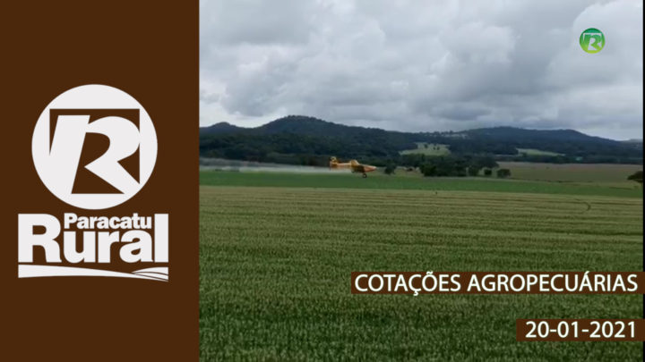 Cotações Agropecuárias - 20-01-21