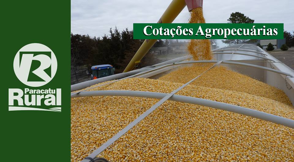 Cotações Agropecuárias - 06-01-21