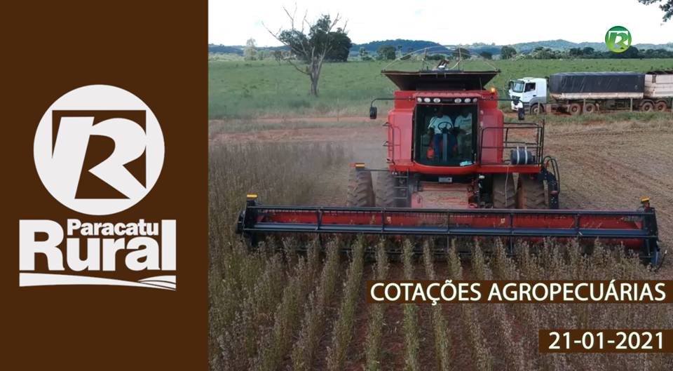 Cotações Agropecuárias - 21-01-21