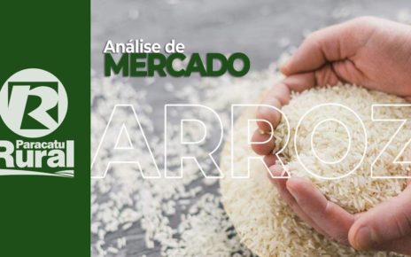 06-02 - mercado do arroz