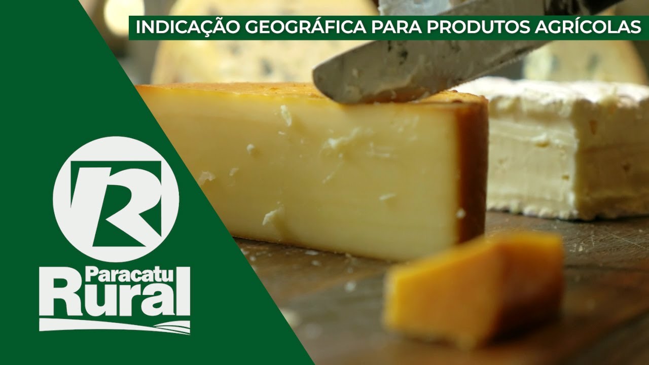 Importância da Indicação Geográfica para produtos agrícolas