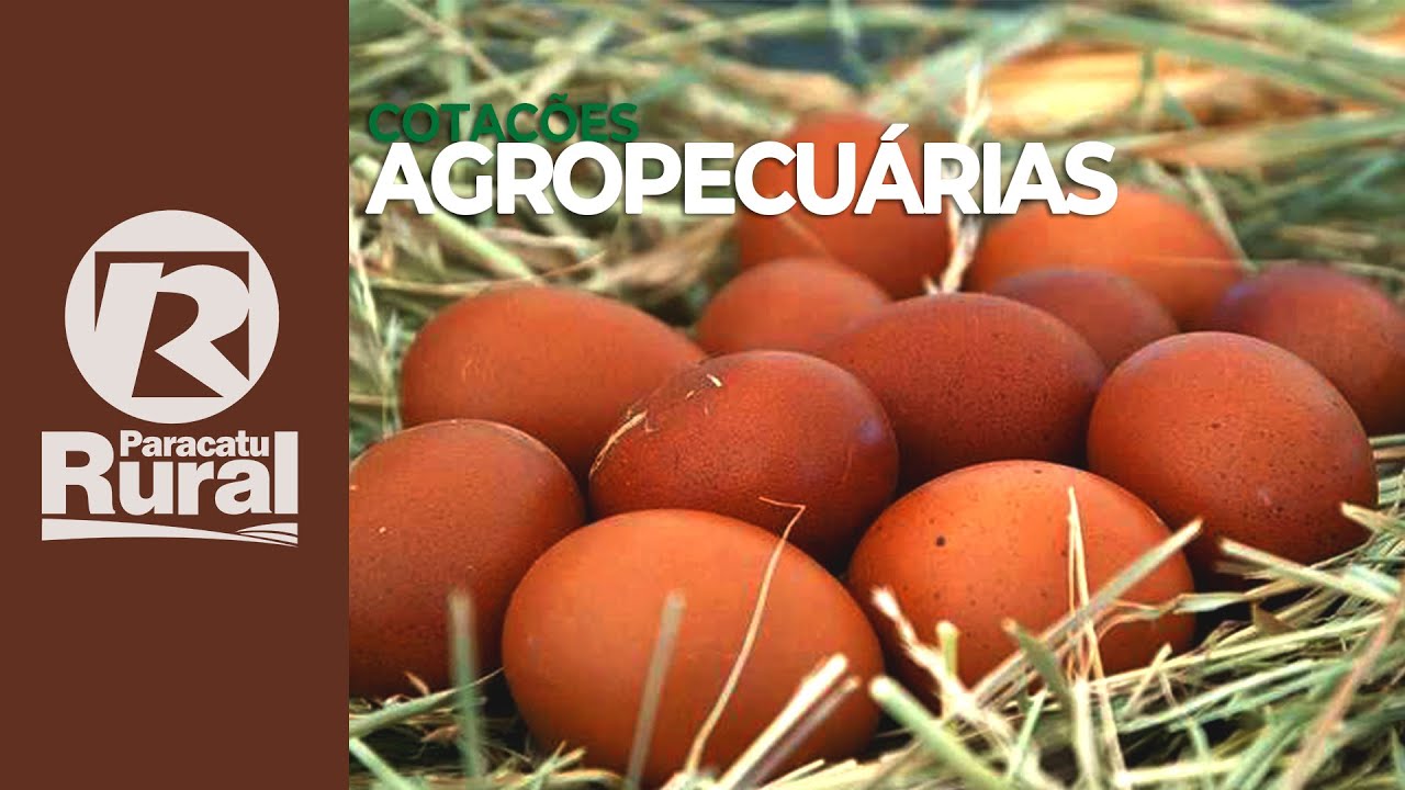 Cotações agropecuárias 16-03-2021