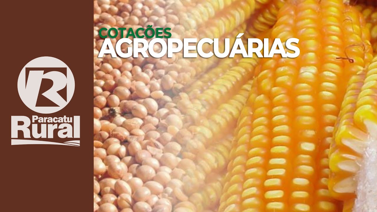 Cotações agropecuárias 18-03-2021