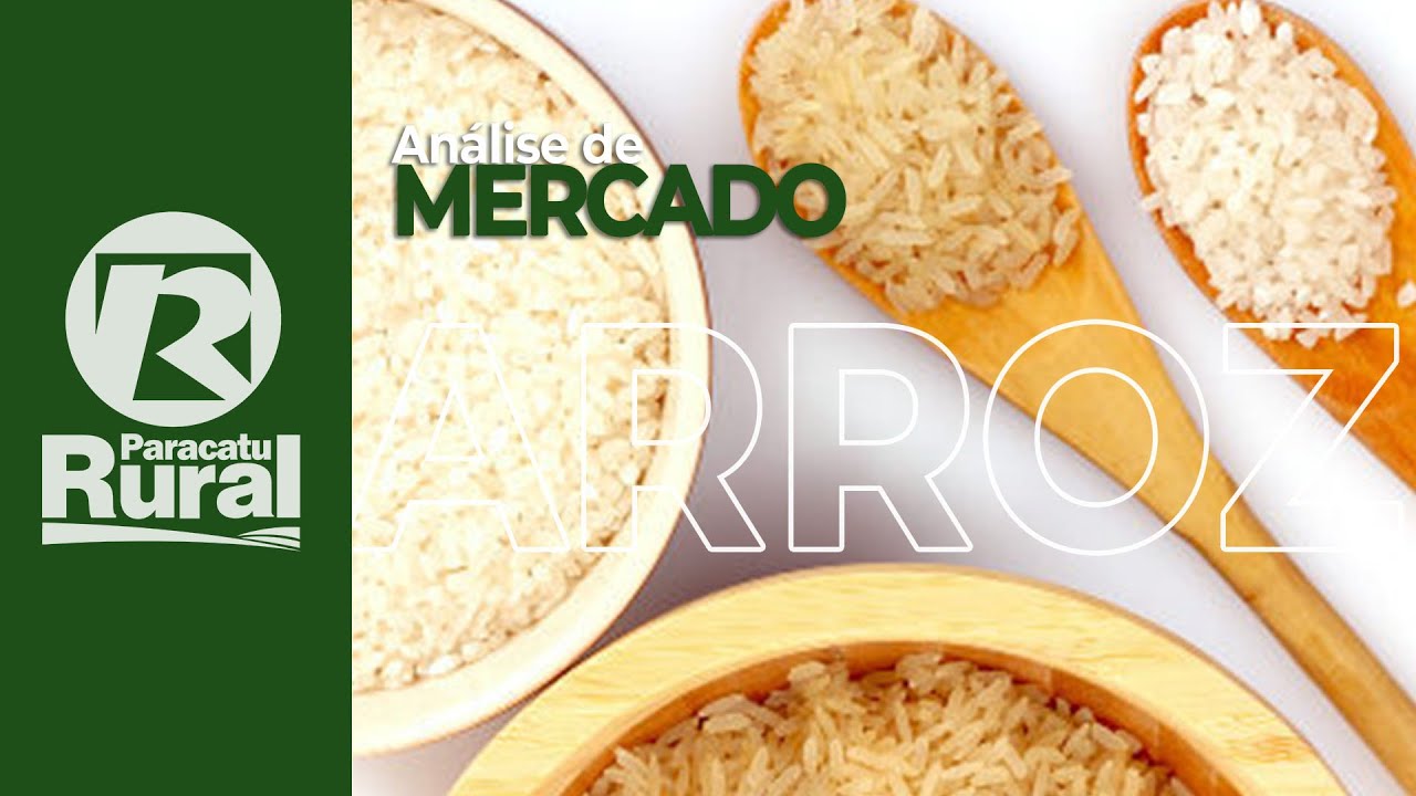 ARROZ tem poucos negócios e chuvas atrapalham colheitas