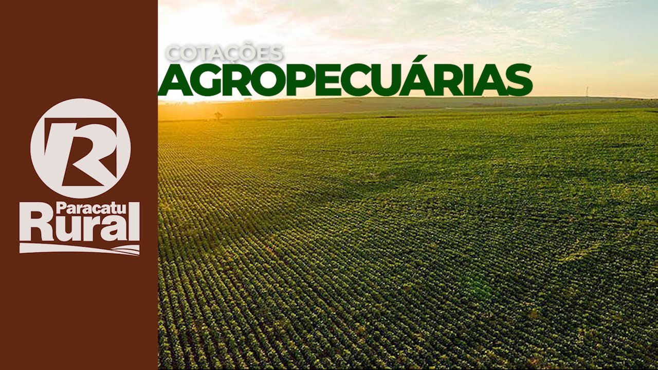 Cotações agropecuárias 15-04-2021