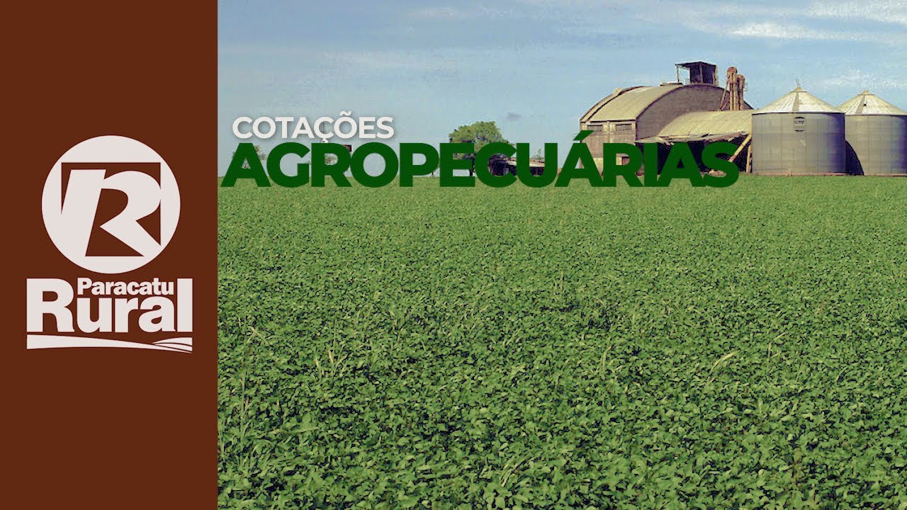 Cotações agropecuárias 08 a 10-05-21