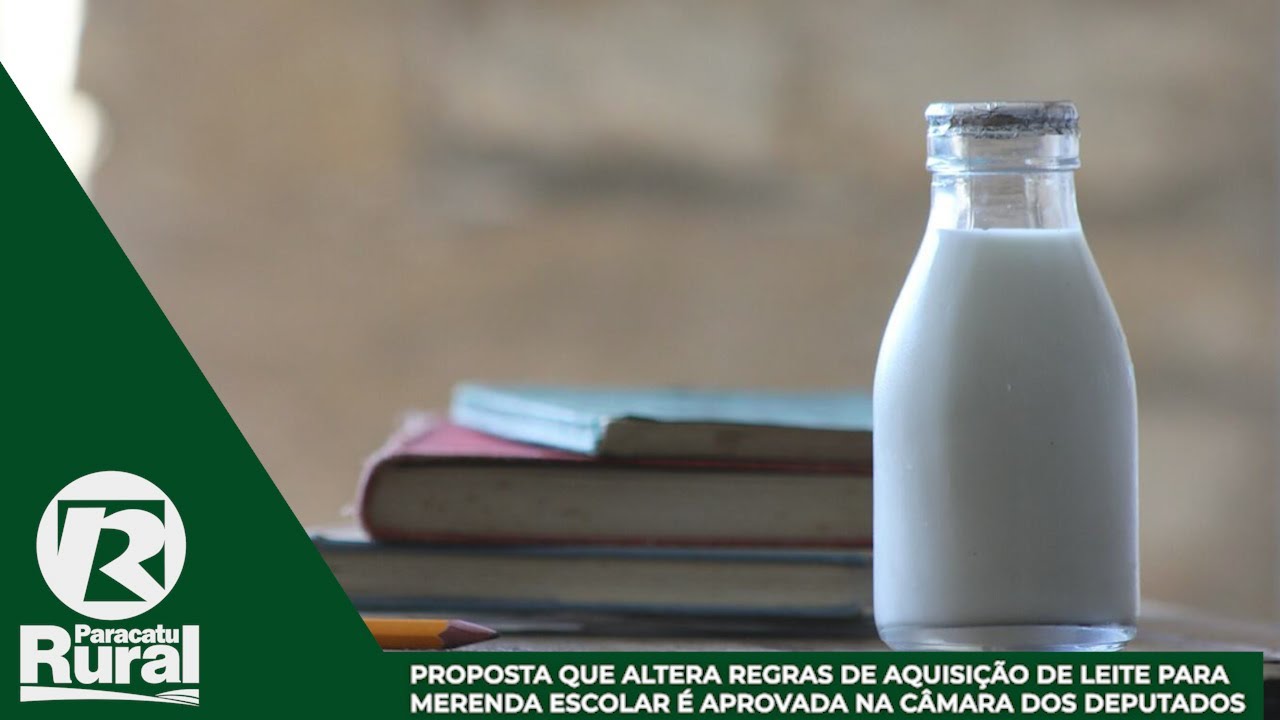 Proposta que Altera Regras de aquisição de LEITE para merenda escolar é aprovada na Câmara