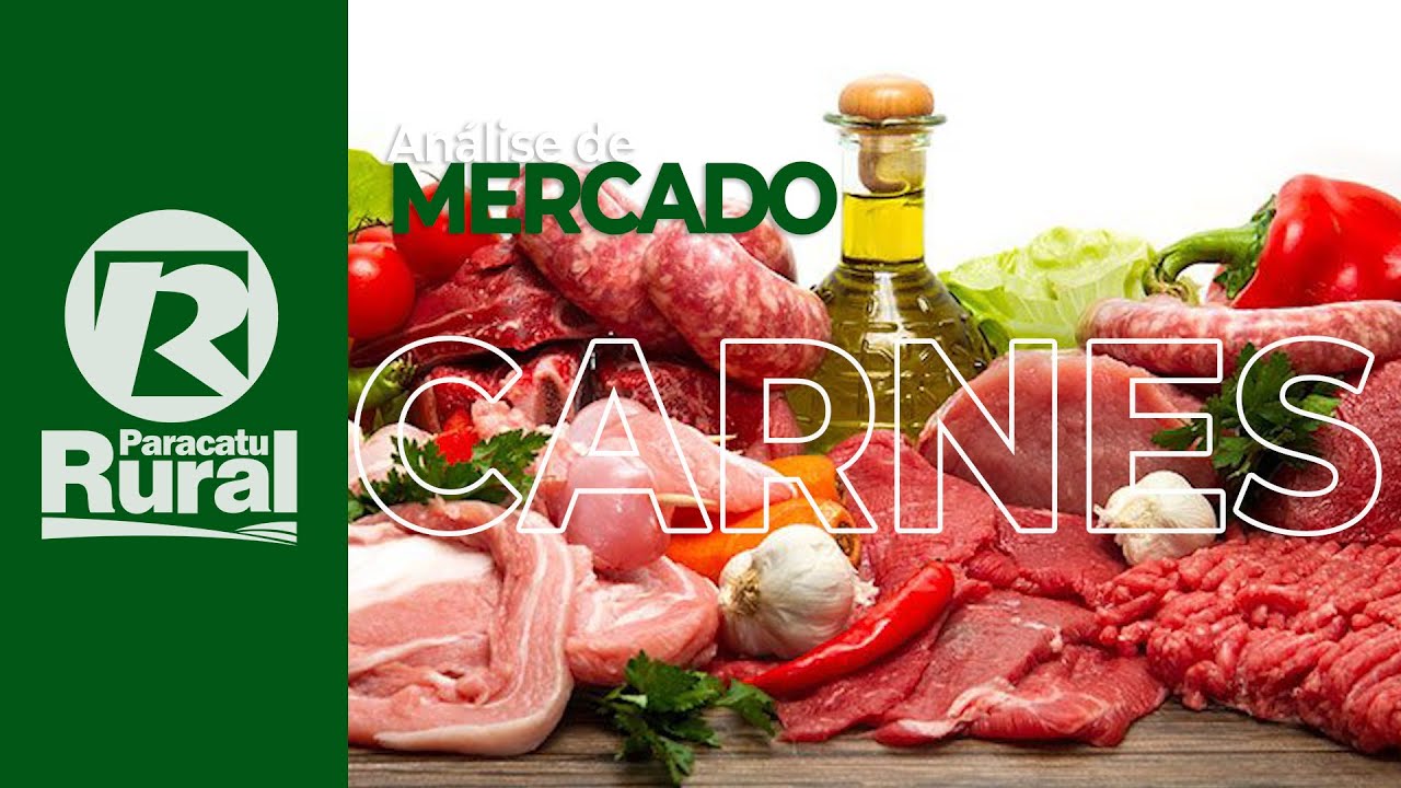 Setor das CARNES otimista com exportação e decisões do governo argentino influenciam mercado interno