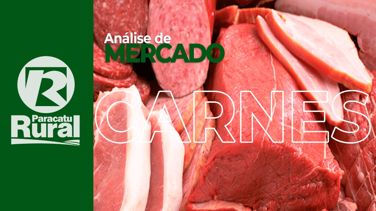 Seguimento das CARNES continua nas exportações e busca espaço pelo buraco deixado pela Argentina