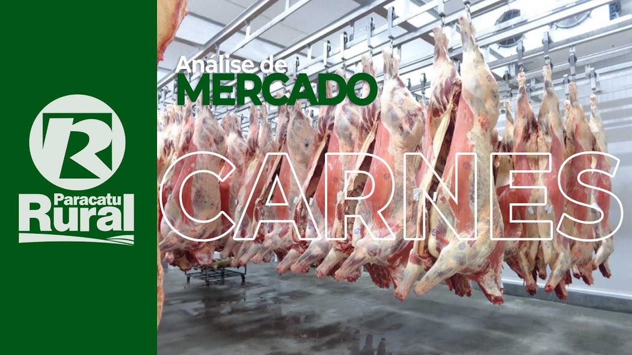 Maio continua forte na exportação de CARNES e auxílio emergencial também ajudará setor