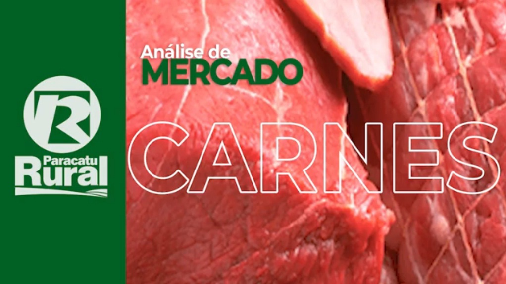 Mercado das CARNES continua acelerado na exportação, com mais demanda que oferta, e escassez do BOI