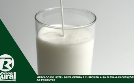 21-06 - mercado do leite
