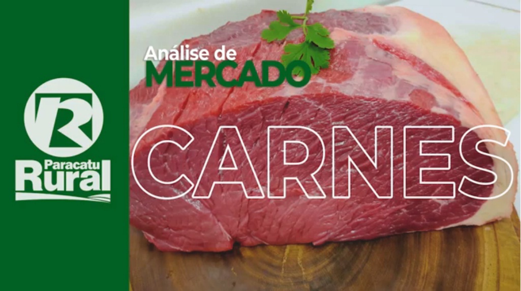 Mercado das CARNES volta a ter pé no acelerador em junho e deve fechar com bons números