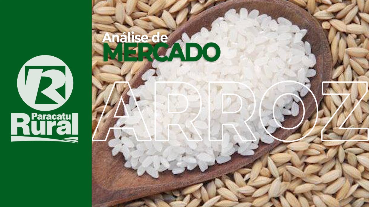 Mercado do ARROZ está de olho e tenta pegar carona na alta do milho e da soja