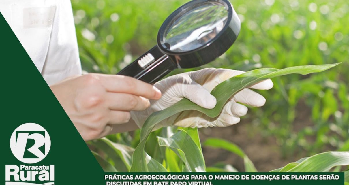 09-07 - pratica agroecologica