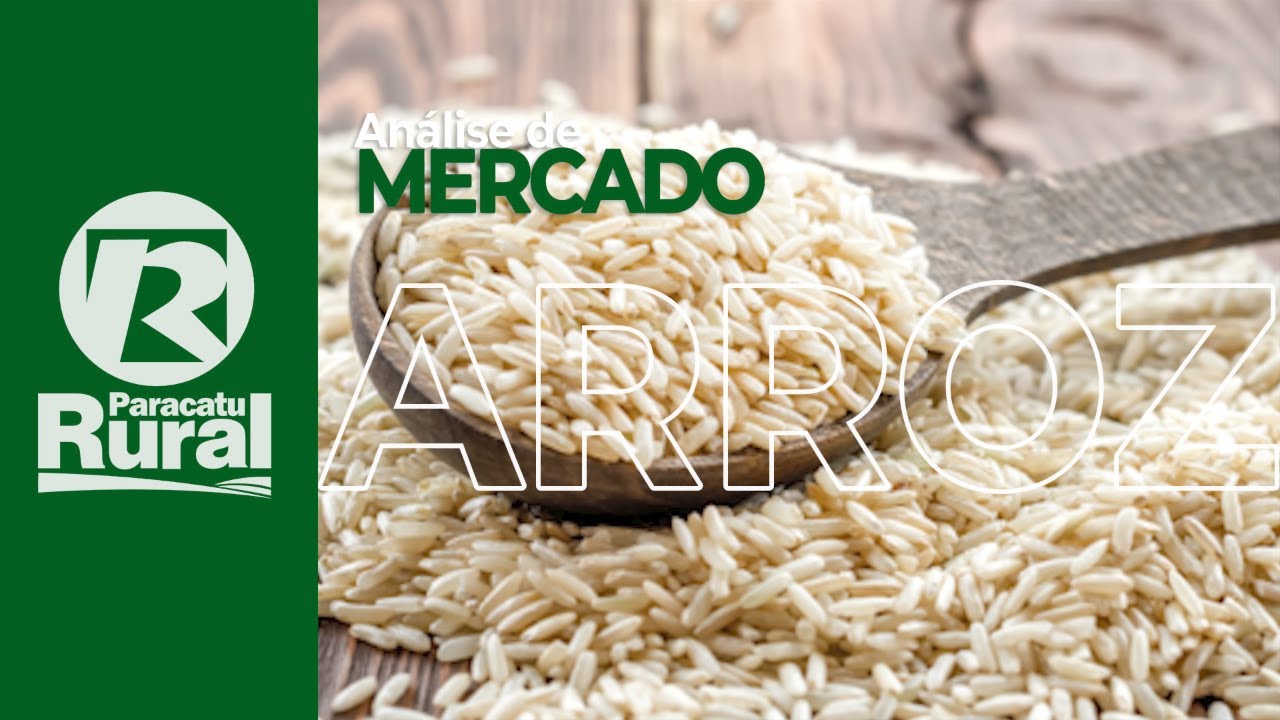 ARROZ está pressionado pois produtores não querem vender e industrias voltaram as compras