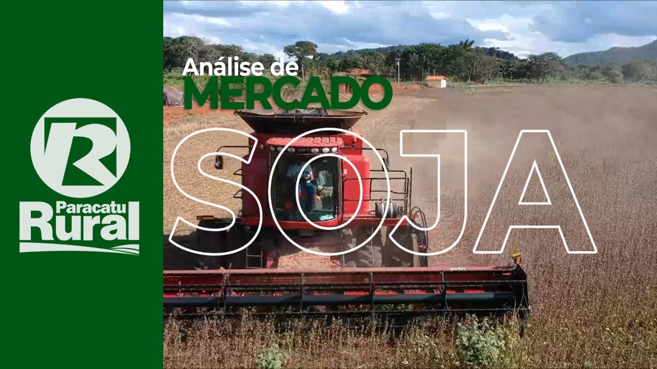 USDA reduz qualidade das lavouras de SOJA que tiveram muitos problemas e clima continua inadequado