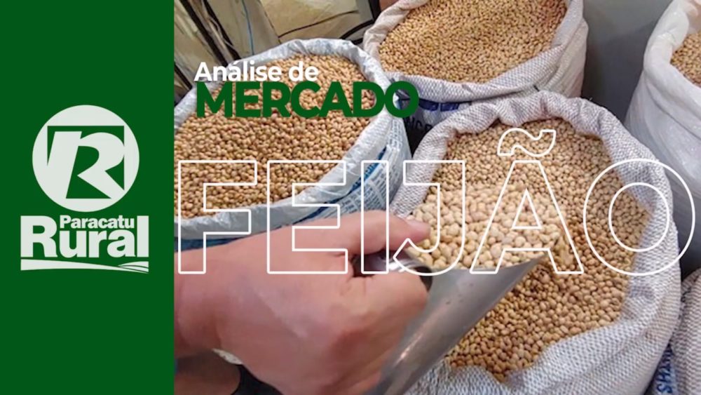 FEIJÃO está bem escasso, principalmente de produto de qualidade