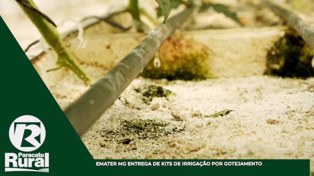 EMATER MG entrega de kits de IRRIGAÇÃO por GOTEJAMENTO