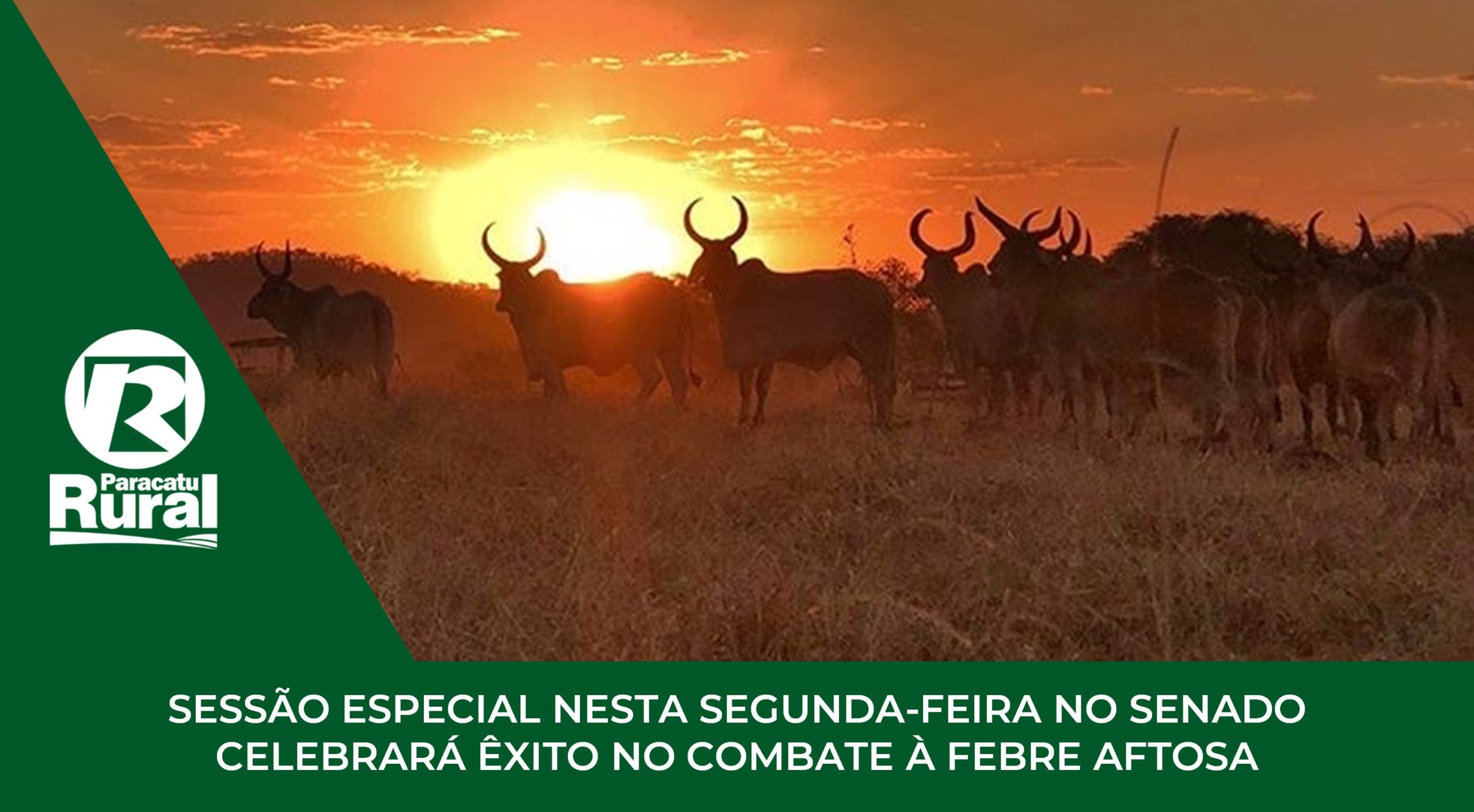 Sessão especial nesta segunda-feira no Senado celebrará êxito no combate à febre aftosa