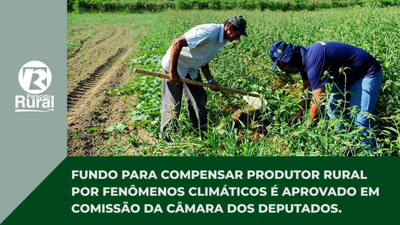 FUNDO para compensar PRODUTOR RURAL por FENÔMENOS CLIMÁTICOS é aprovado