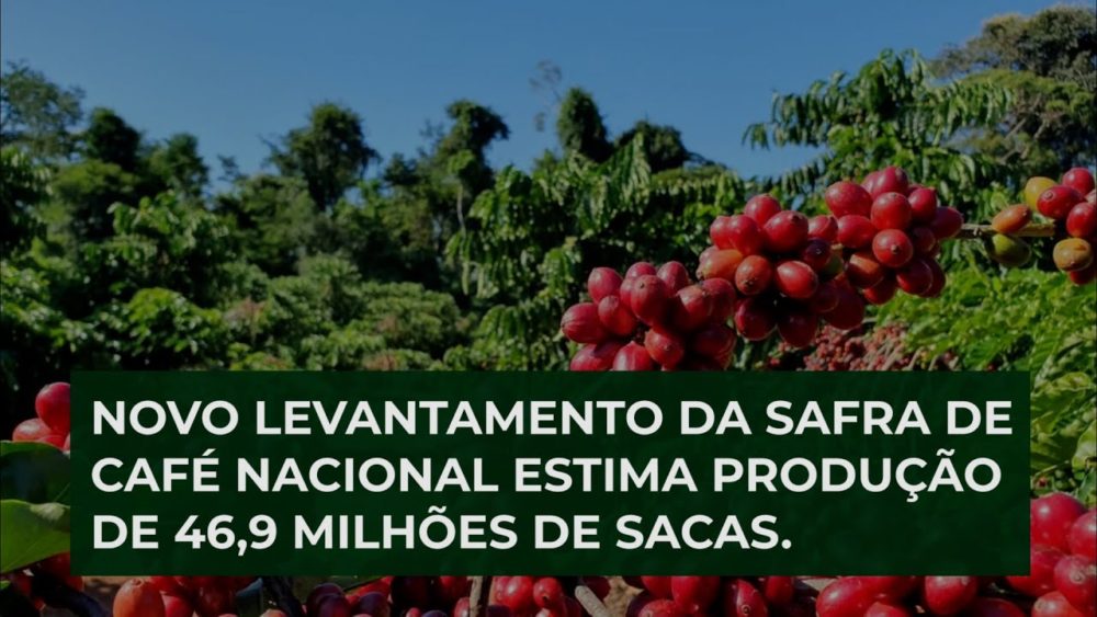 Novo levantamento da safra de café nacional estima produção de 46,9 milhões de sacas