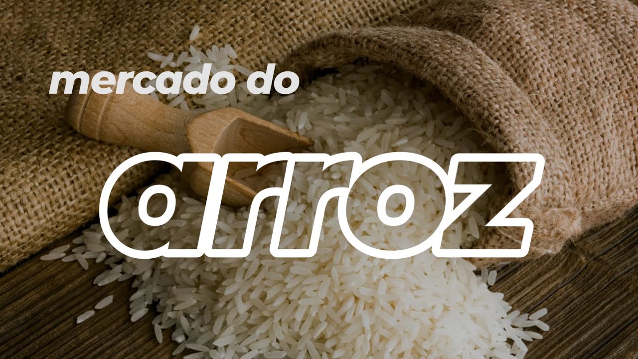 ARROZ em calmaria: produtor querendo vender, mas indústrias mais interessadas em vender beneficiado