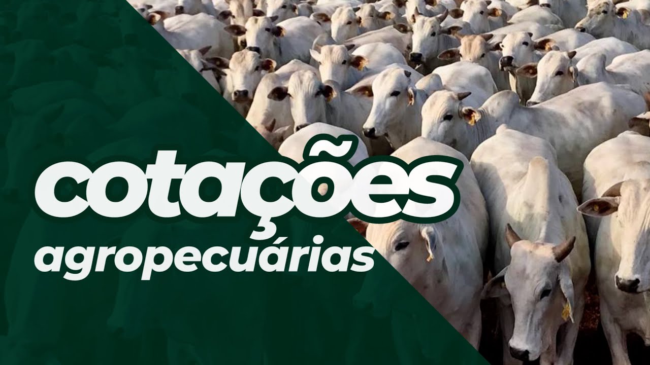 Cotações Agropecuárias 06-10-2021