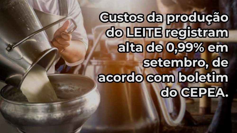 Custos da produção do LEITE registram alta de 0,99% em setembro, de acordo com boletim do CEPEA